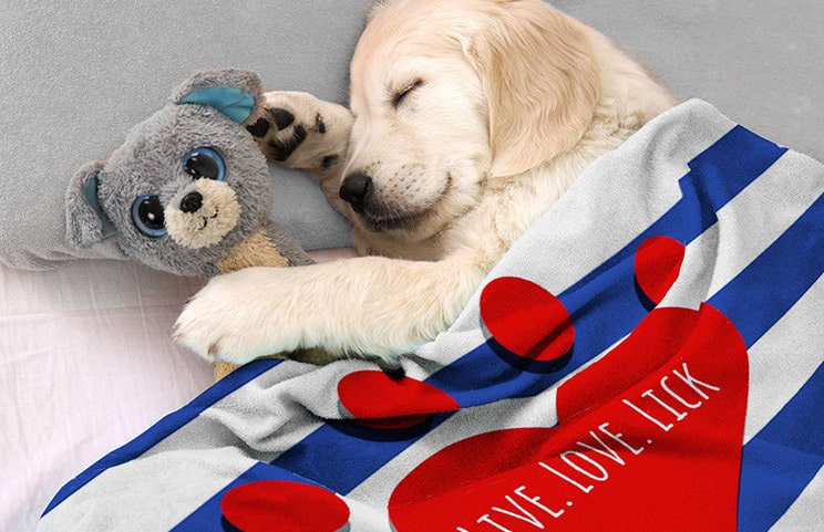 Personalised Dog Blankets - Cosy Up With Your Furry Friend